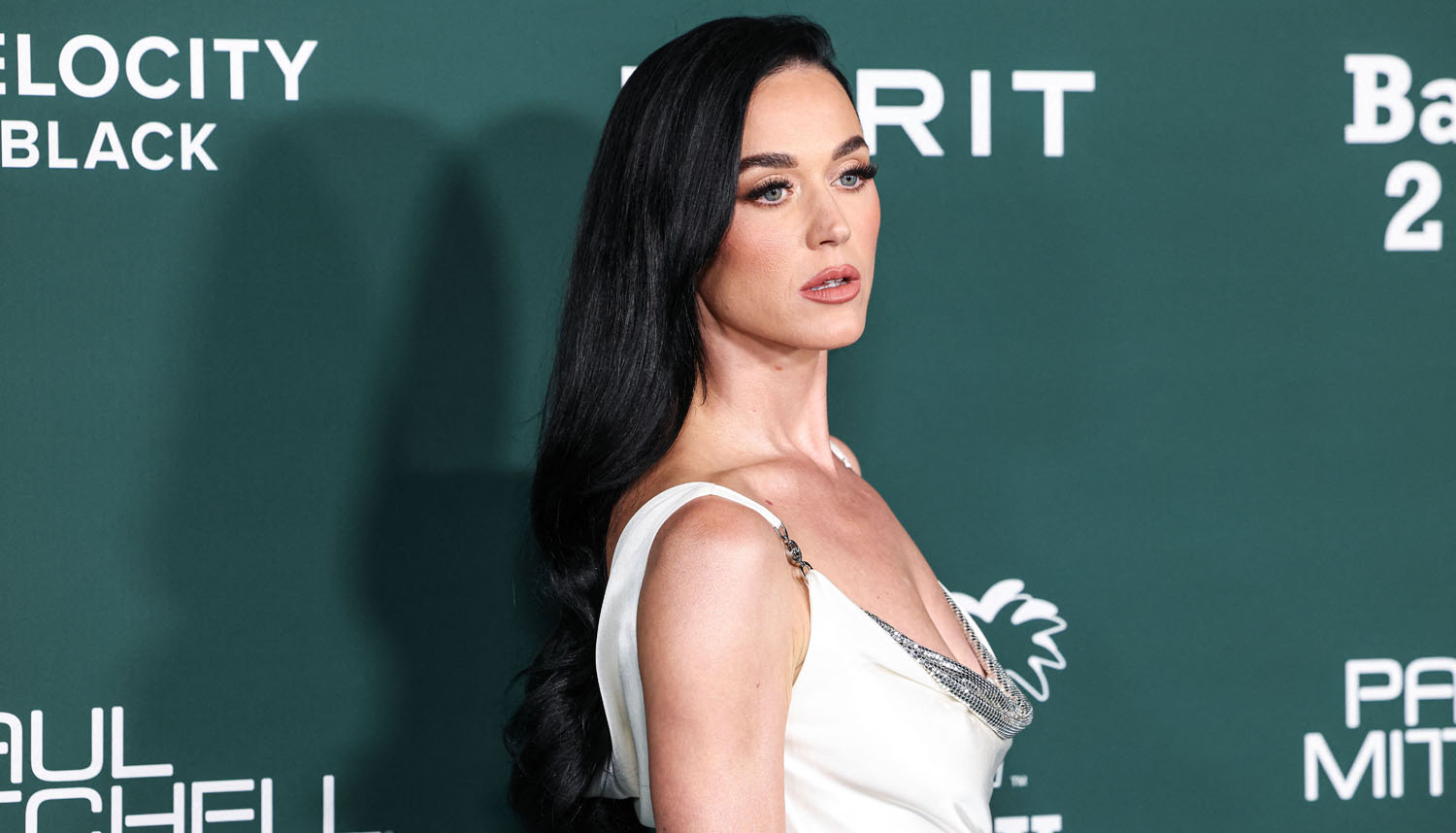 Celebrity Social Media, November 15, 2024