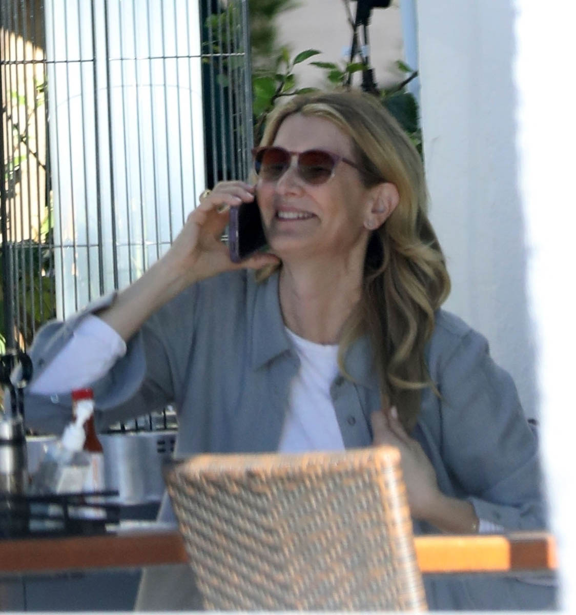 Dr. Ellie Sadler and Alan Grant return