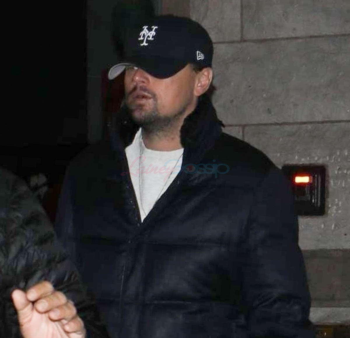 Leo’s new year model