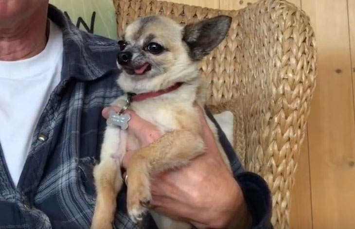 What Else for March 3, 2020