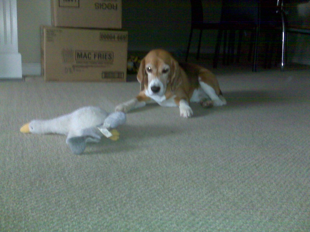 Intro for Apr 17, 2008