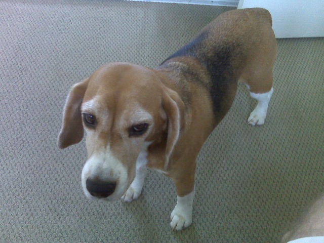 Liz, Jack, and Snoopy