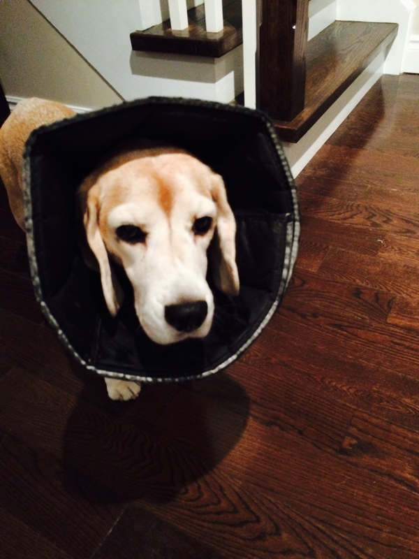 Intro for October 22, 2014