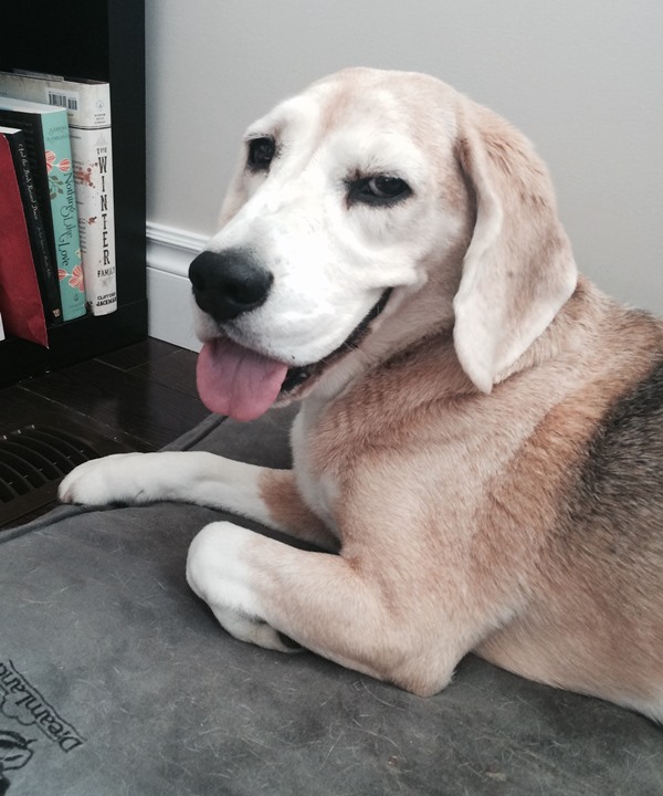 Intro for September 25, 2015