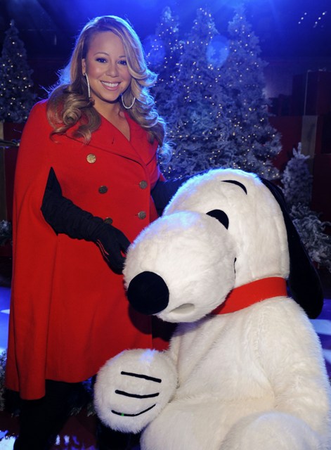 What to buy a butterfly