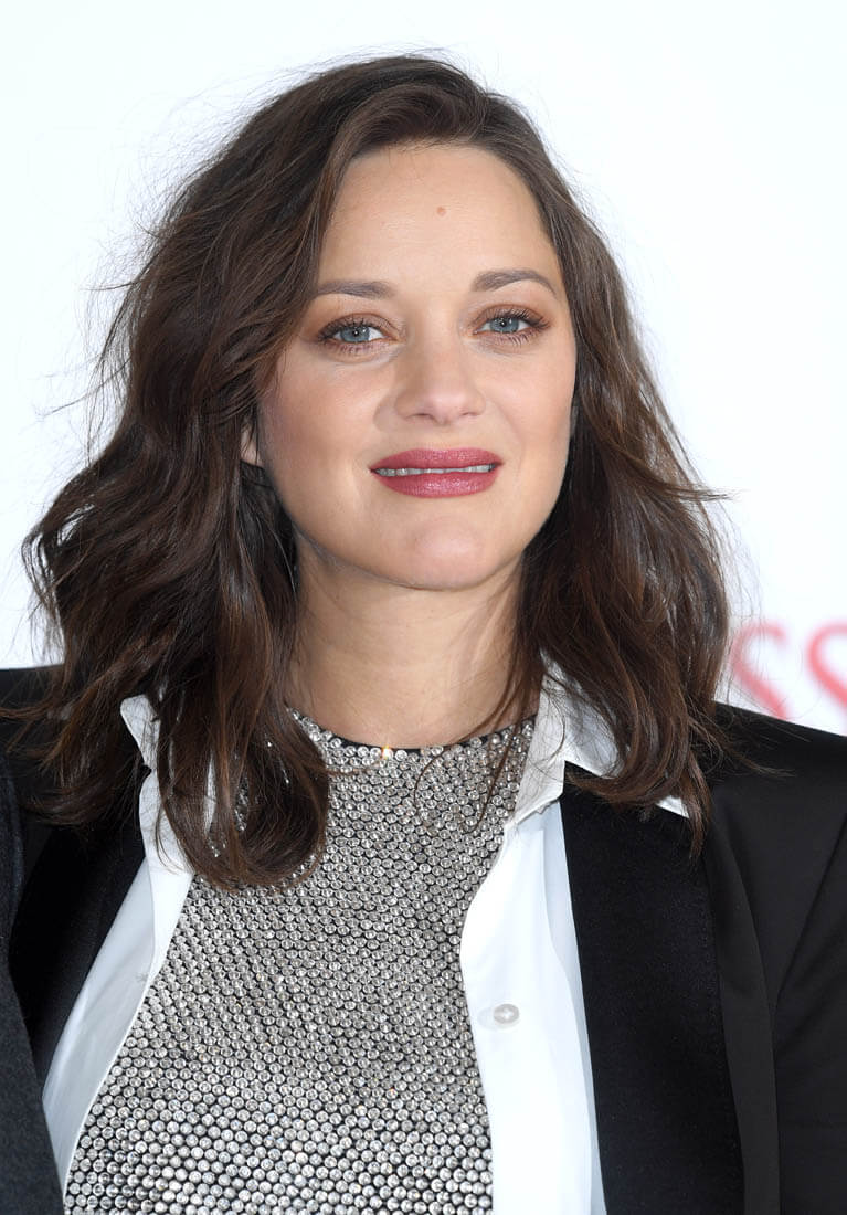 Brad Pitt and Marion Cotillard in Allied