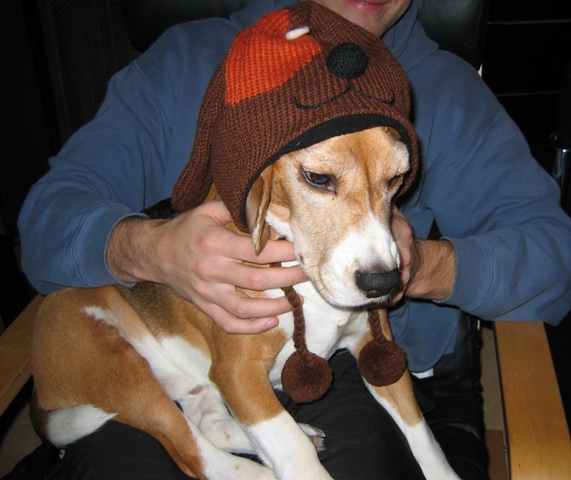 A Smutty Test the Nation!