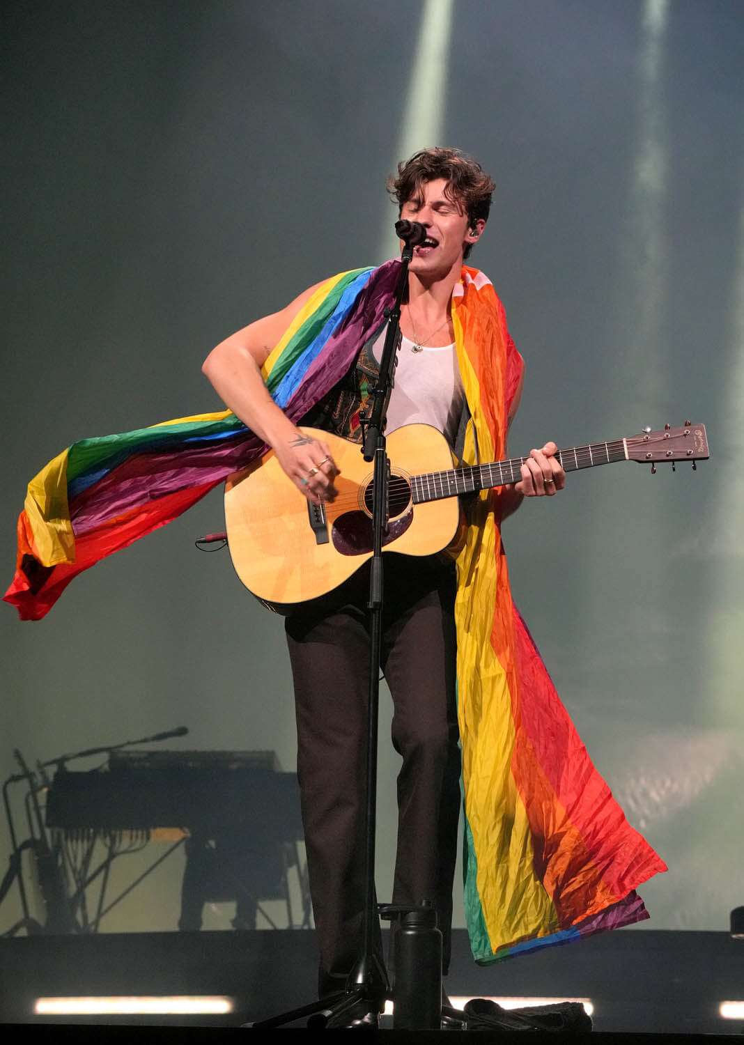 Shawn Mendes is the latest (tour) cancellation