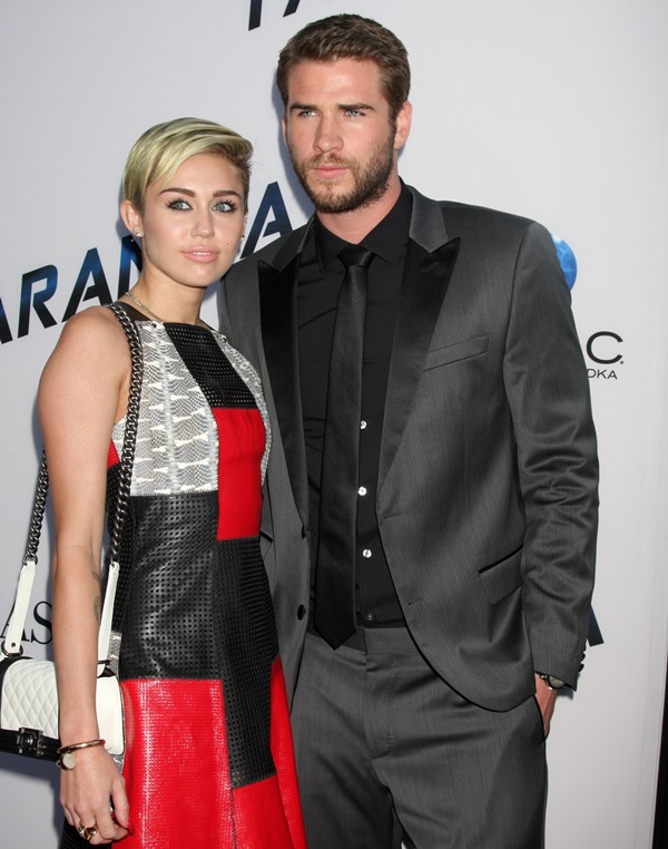 Miley Cyrus, “housewife”