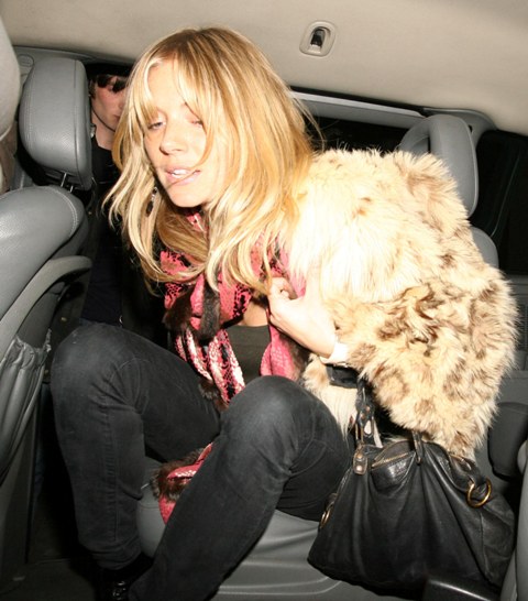 What would Mrs Murphy say?