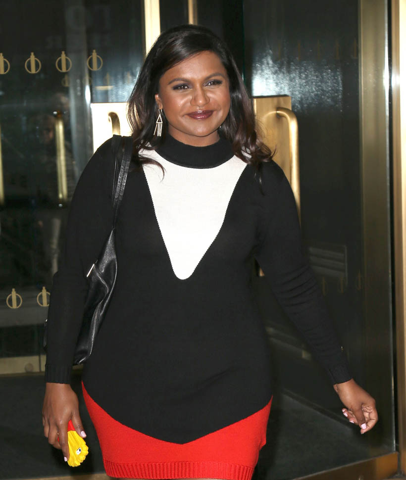 Mindy Kaling’s terms