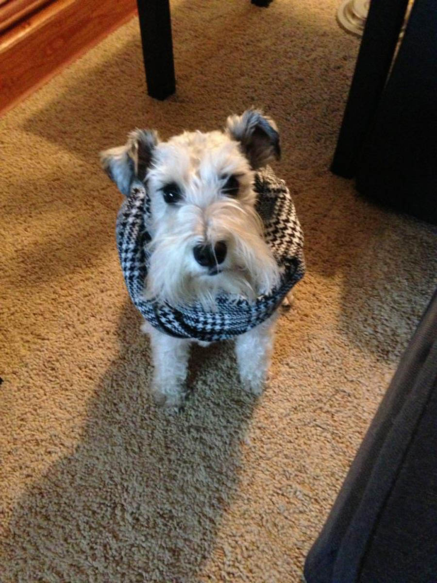 February 26, 2021 – Smutty Shout-Outs