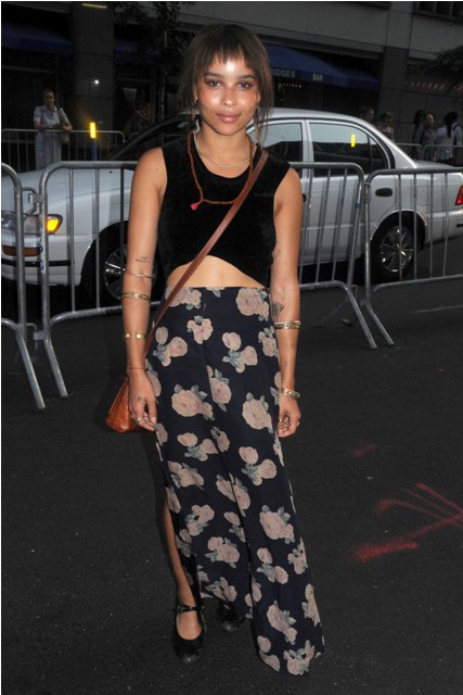 Lonely Boy > Mr Rochester?