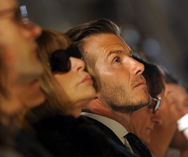 Use David as a lure...