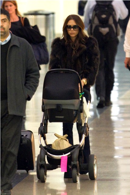 H7 in a stroller!