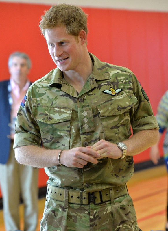 Prince Harry: Gay Defender