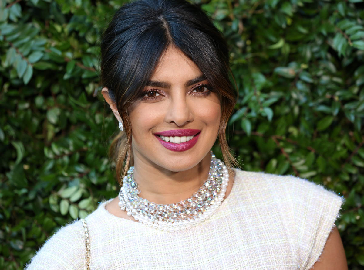 Nick and Priyanka: status update