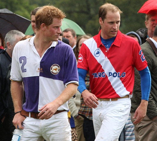 Hot Harry’s dorky brother