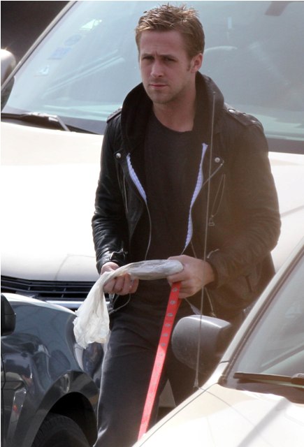 Making a bag of dogsh-t look good