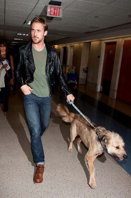No dogs on escalators