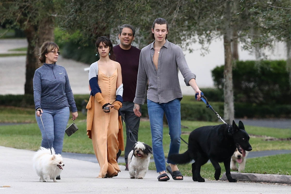 Camila Cabello’s Pledges for Activists