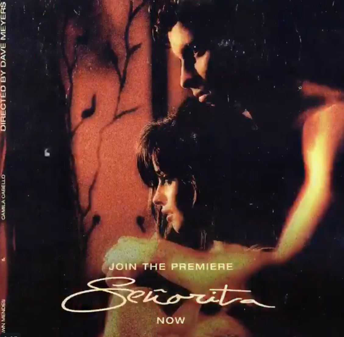 Steamy “Señorita” and the Sexification of Shawn Mendes