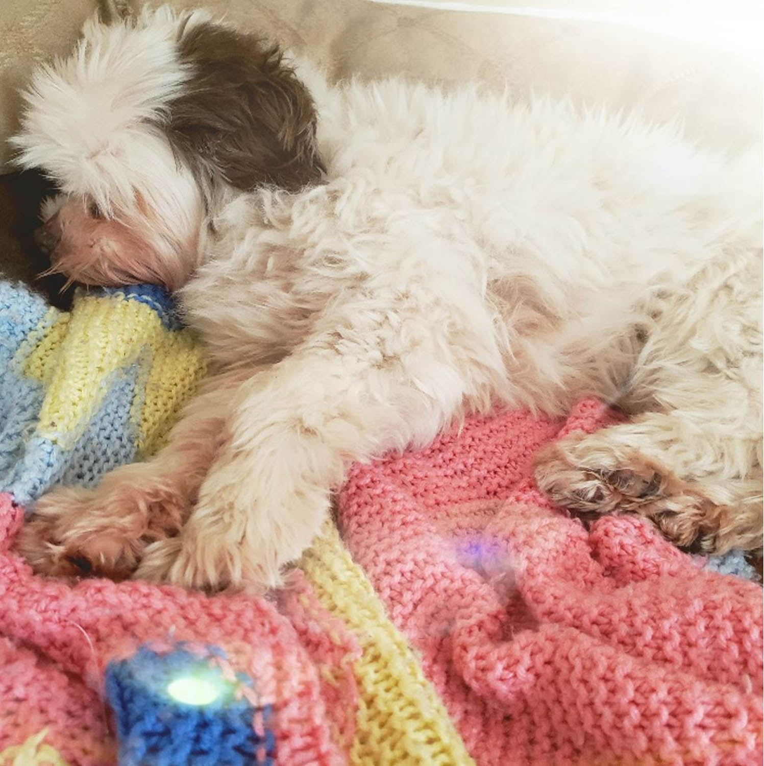 Shout-Outs for January 17, 2020