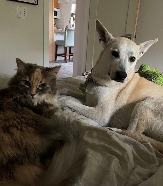 October 12, 2022 – Shout-Outs