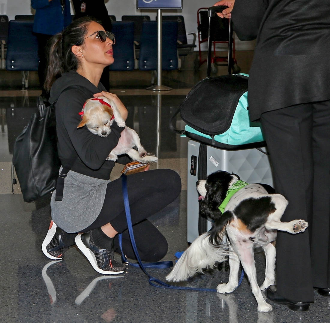 Smutty Social Media, November 23, 2017