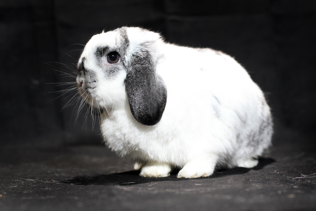 March 16, 2021 – Smutty Shout-Outs