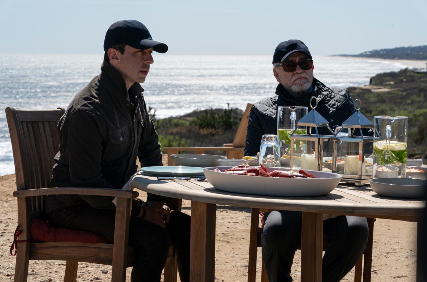 Succession: Lion in the Meadow