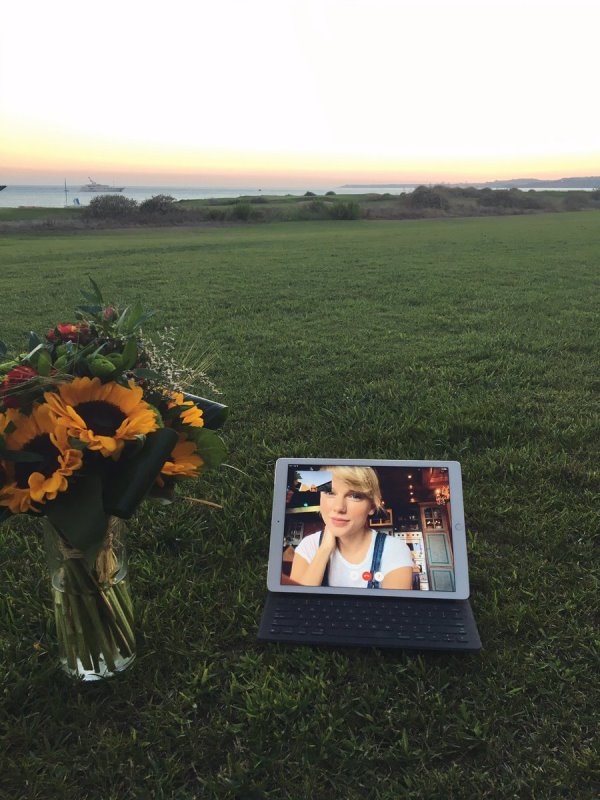 Smutty Social Media, August 4, 2016