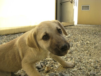 Thank you for helping Taylor