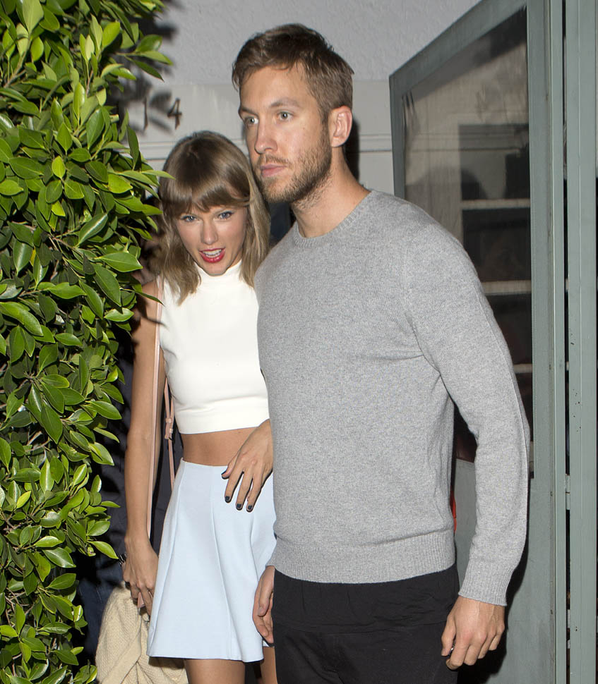 Taylor Swift has a boyfriend but not a castle