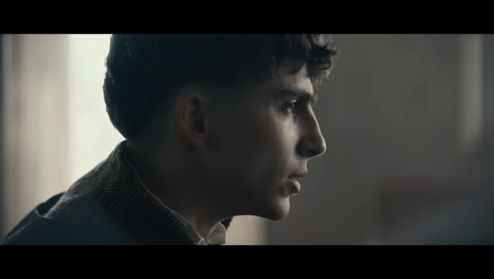 Timothee Chalamet: the bowl cut has an accent