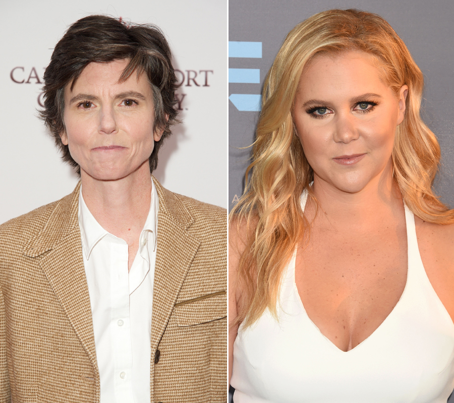 Tig Notaro and Amy Schumer were only friends on TV