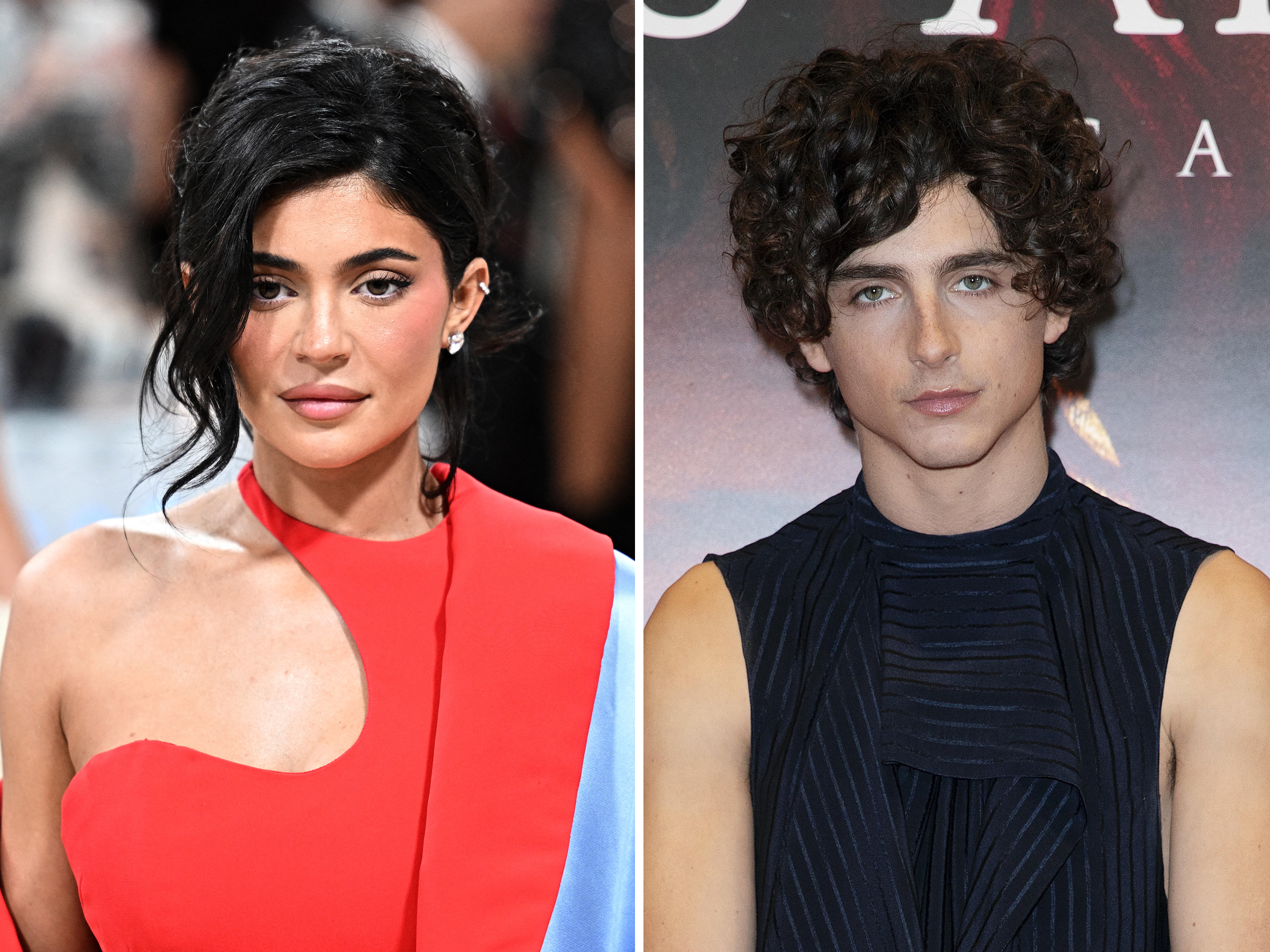 Timothée, Kylie, and the Missing Article