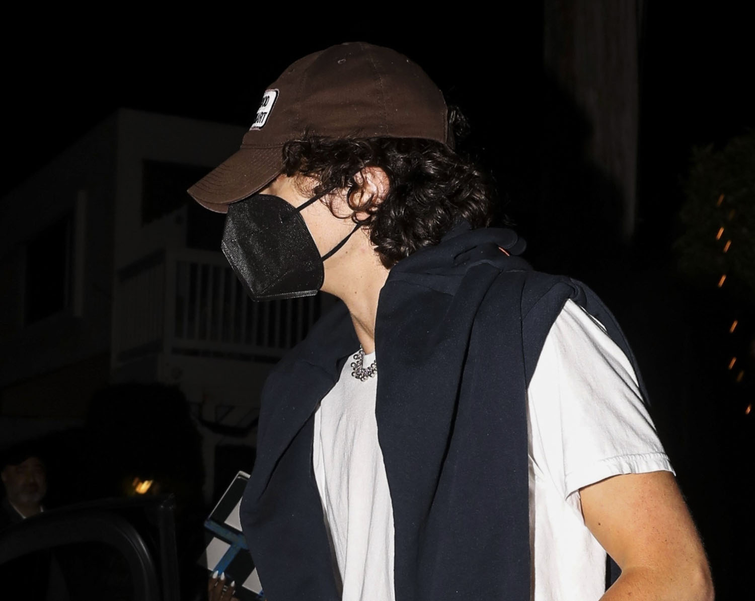 Timothée and Kylie premiere at Beyoncé