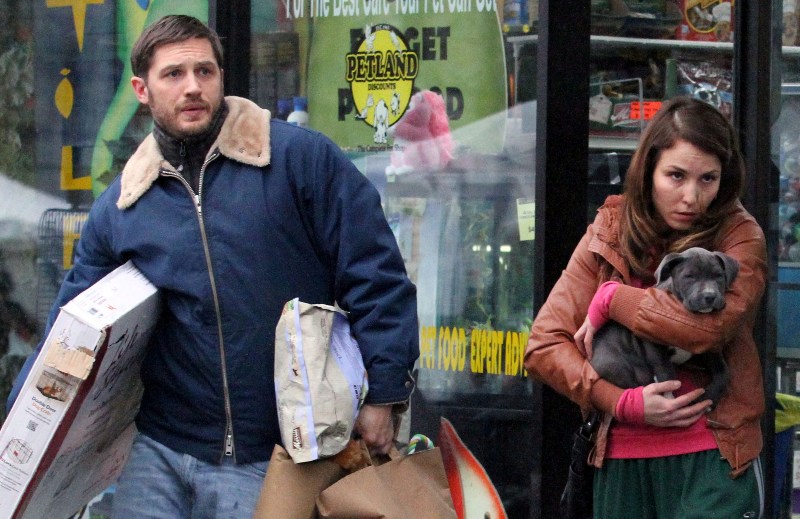 Puppies & Tom to the rescue