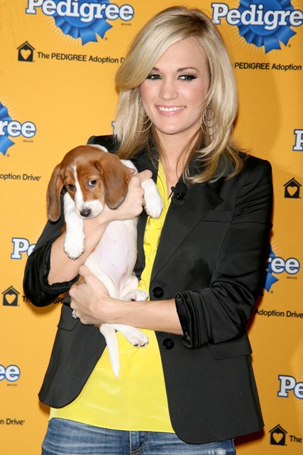 Country B and a beagle