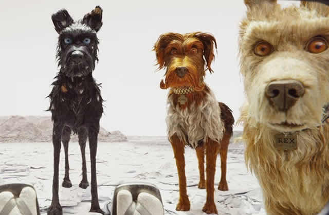 Wes Anderson’s inauspicious dogs