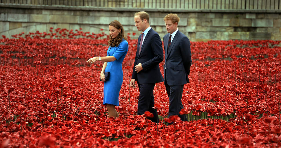 The poppies at the Tower