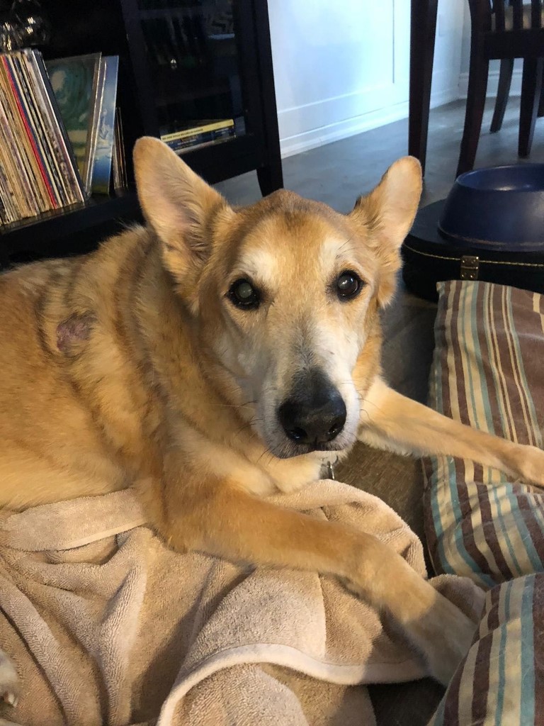 November 25, 2019 – Smutty Shout-Outs