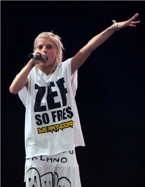 The search for Lisbeth Salander