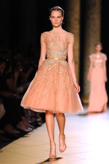 Paris Fashion Week: Elie Saab Haute Couture F/W 2013