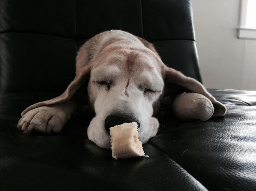 Duana Names: Name in the Hand