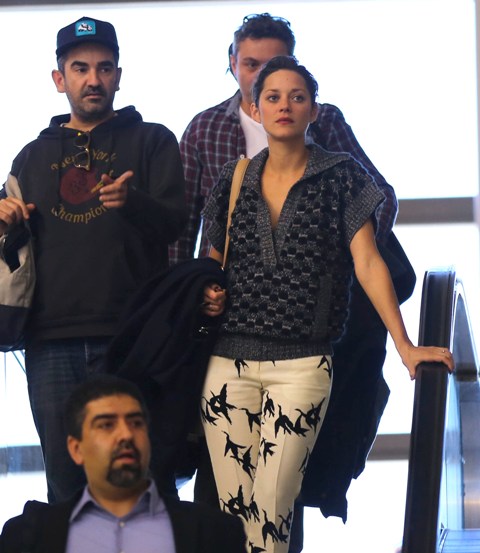 Carpets & Candids: Marion’s bird pants