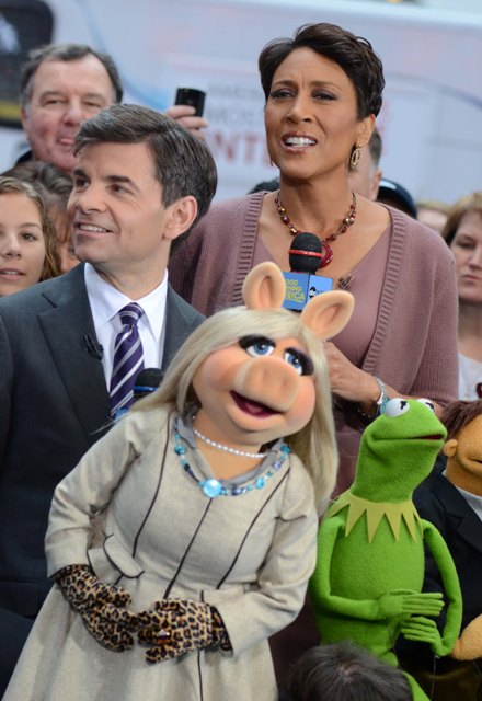 Carpets & Candids: Piggy’s coat